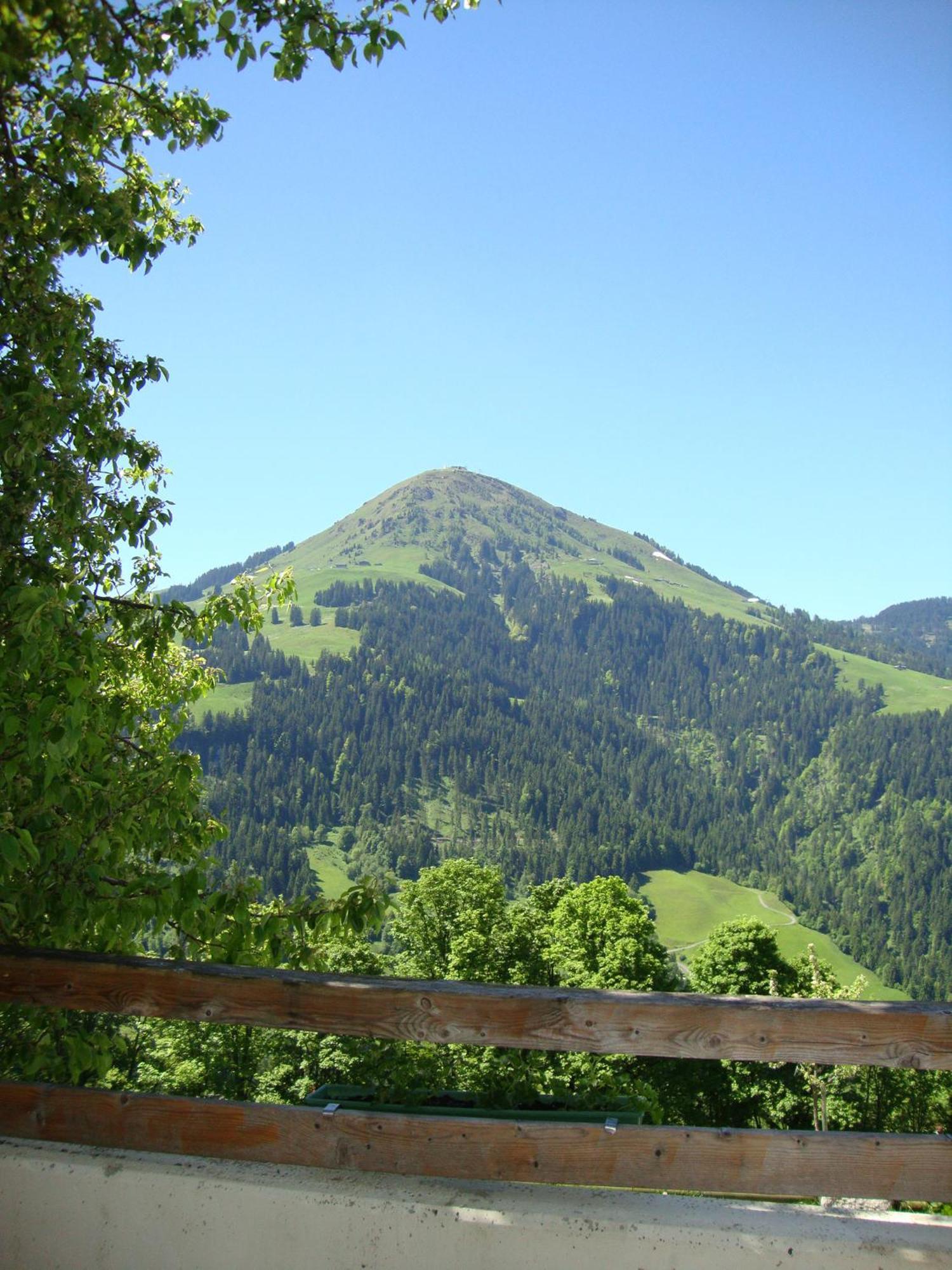 Alpengasthof Gruberhof Söll Exteriér fotografie